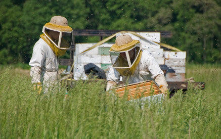 BeeKeepers