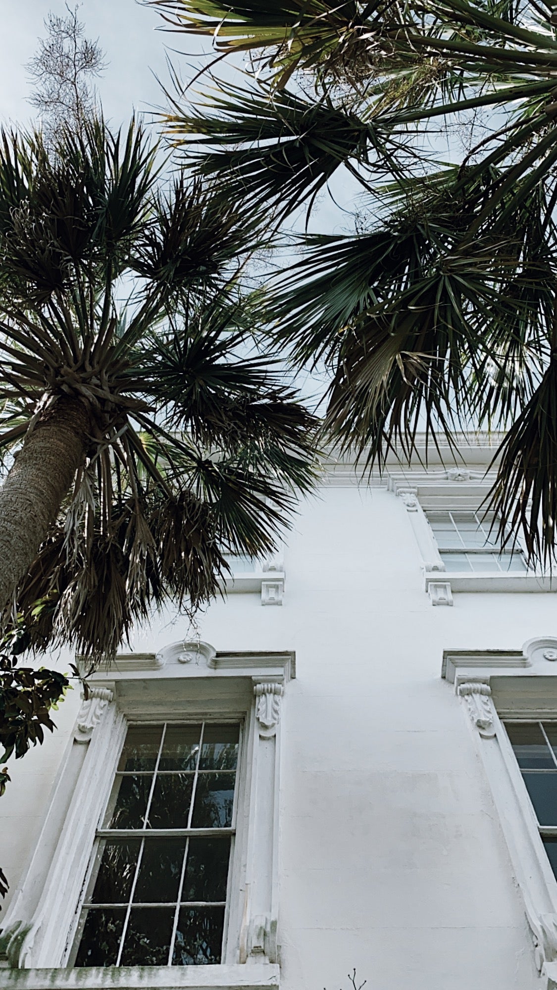 MONTGOMERY COLLECTION X CHARLESTON SOUTH CAROLINA