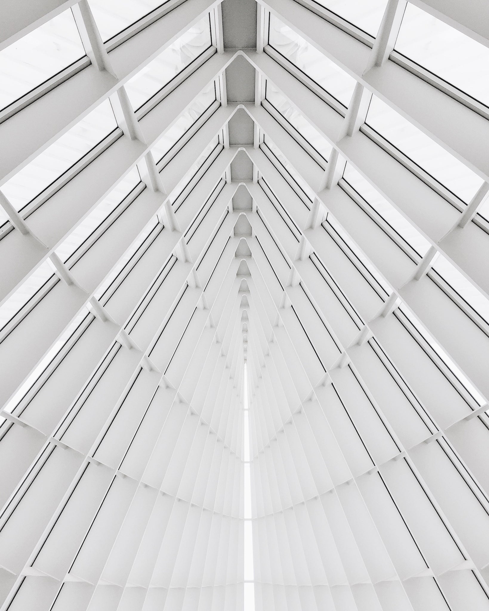 MONTGOMERY COLLECTION | MILWAUKEE ART MUSEUM