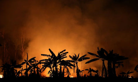 A fire near Porto Velho, Brazil, September 2019. Photograph: Bruno Kelly/Reuters