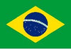 Brazil Bunting