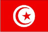 Tunisia Bunting
