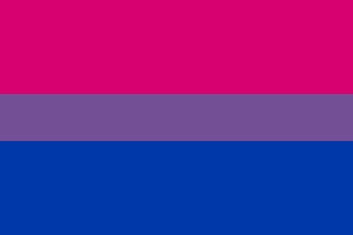 Bi Pride Flag 5ft X 3ft Flags And Flagpoles