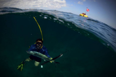 Scuba Hookah in Water with Diver