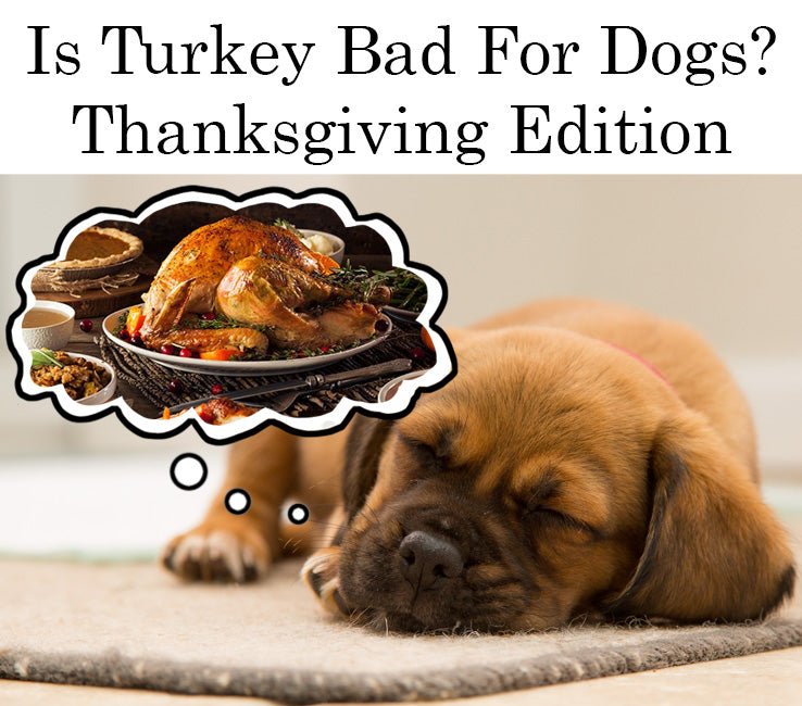 are turkey bad for dogs