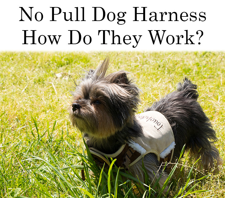 do harnesses make dogs pull