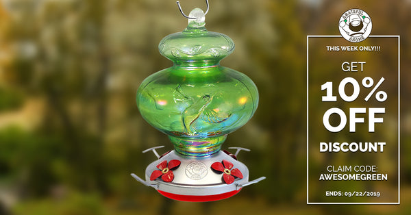 10% Off Green Hummingbird - Blown Glass Hummingbird Feeder