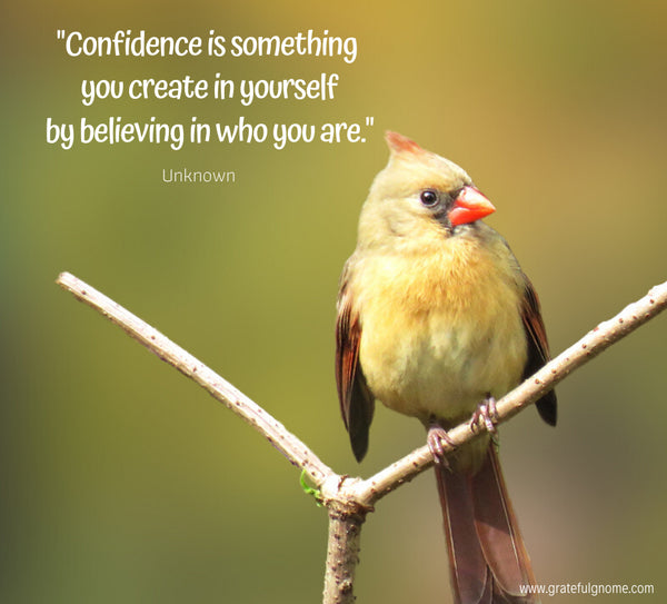 confidence quotes