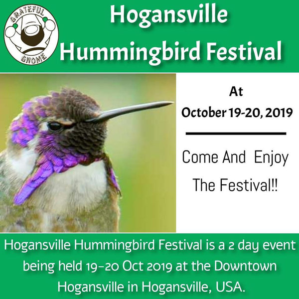 Hogansville Hummingbird Festival