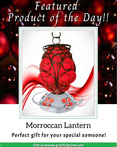 Morroccan Lantern