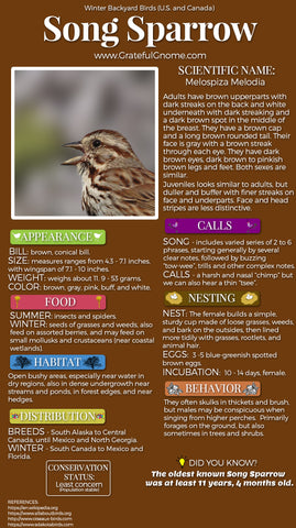 Song Sparrow Infographic