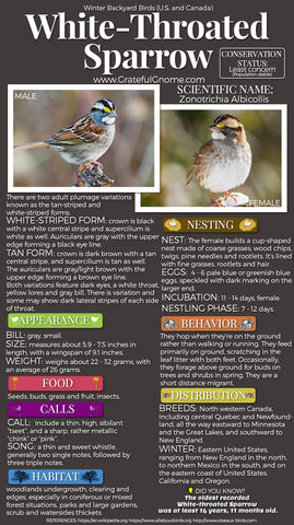 White-Throated Sparrow Infographic