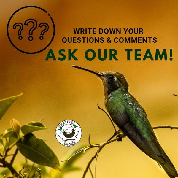 ask our team