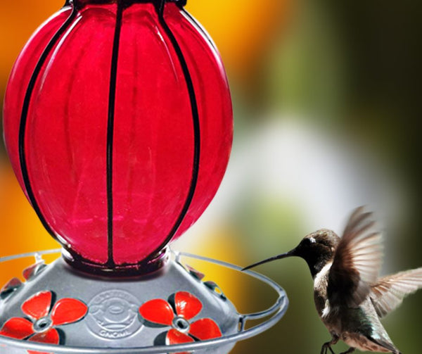 beautiful-blown-glass-hummingbird-feeder