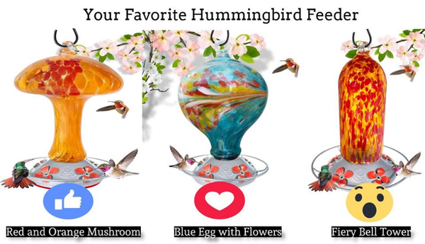 favorite-hummingbird-feeder