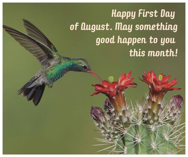 happy-first-day-of-august