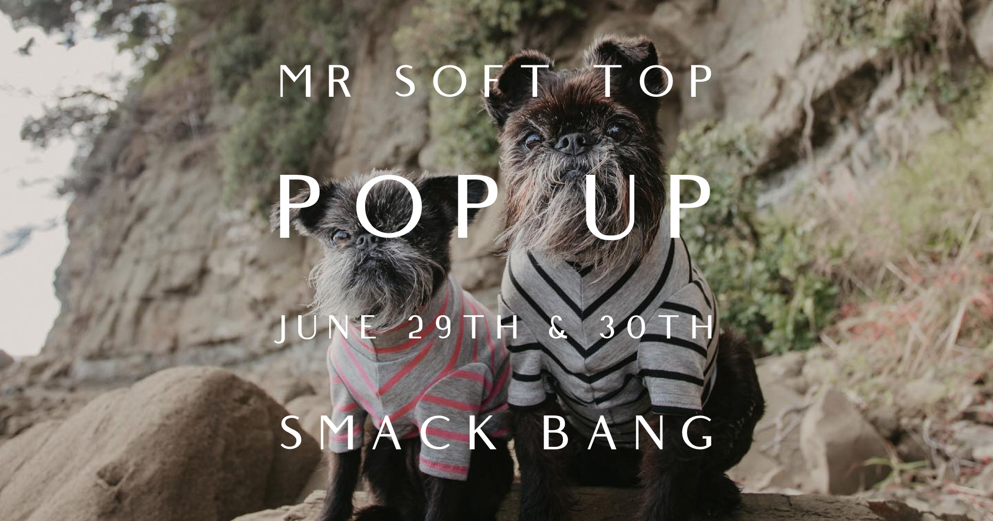 Mr Soft Top Pop Up Event | Smack Bang