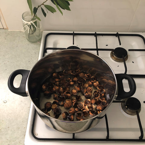 Making multi-purpose liquid cleaner from soap nuts