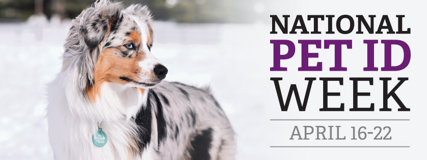 National Pet ID Week, April 16-22  |  Tag a Pet