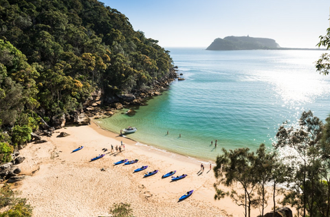 Pittwater Palm Beach Mackeral Beach Kayaking 