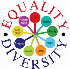 equality and diversity diagram