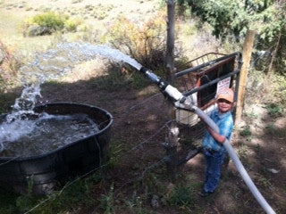 The Water Runner's little helper.