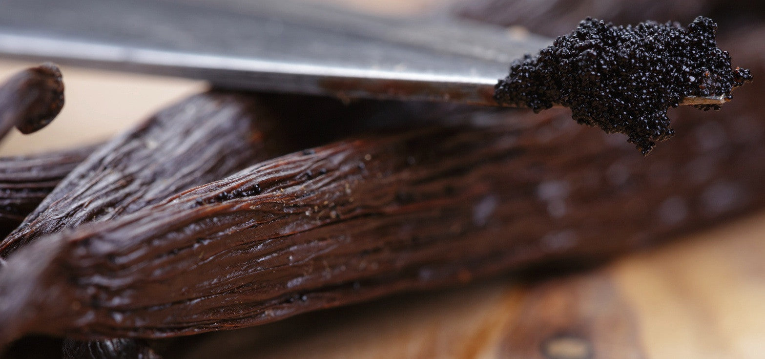 vanilla pods are used in every bottle of Battle Born Grooming Co's beard oil