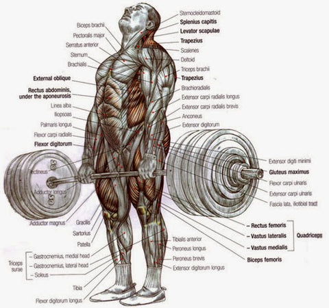 Deadlift core strength