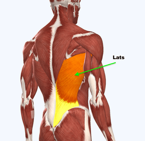 Lats engaged when deadlifting