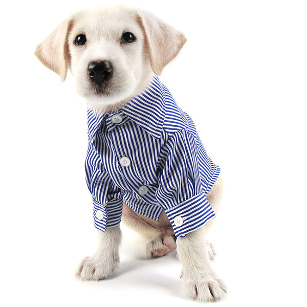 GoodBoy Dress Shirt – Pupper \u0026 Co.