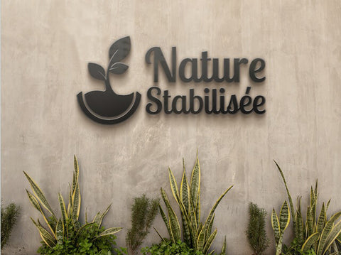 nature-stabilisee-specialiste-stabilisation