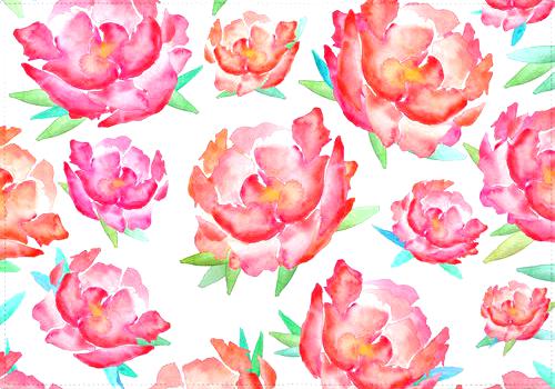Individual Blushed Out Peony