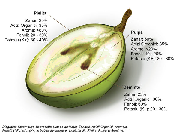 Diagrama Bobita