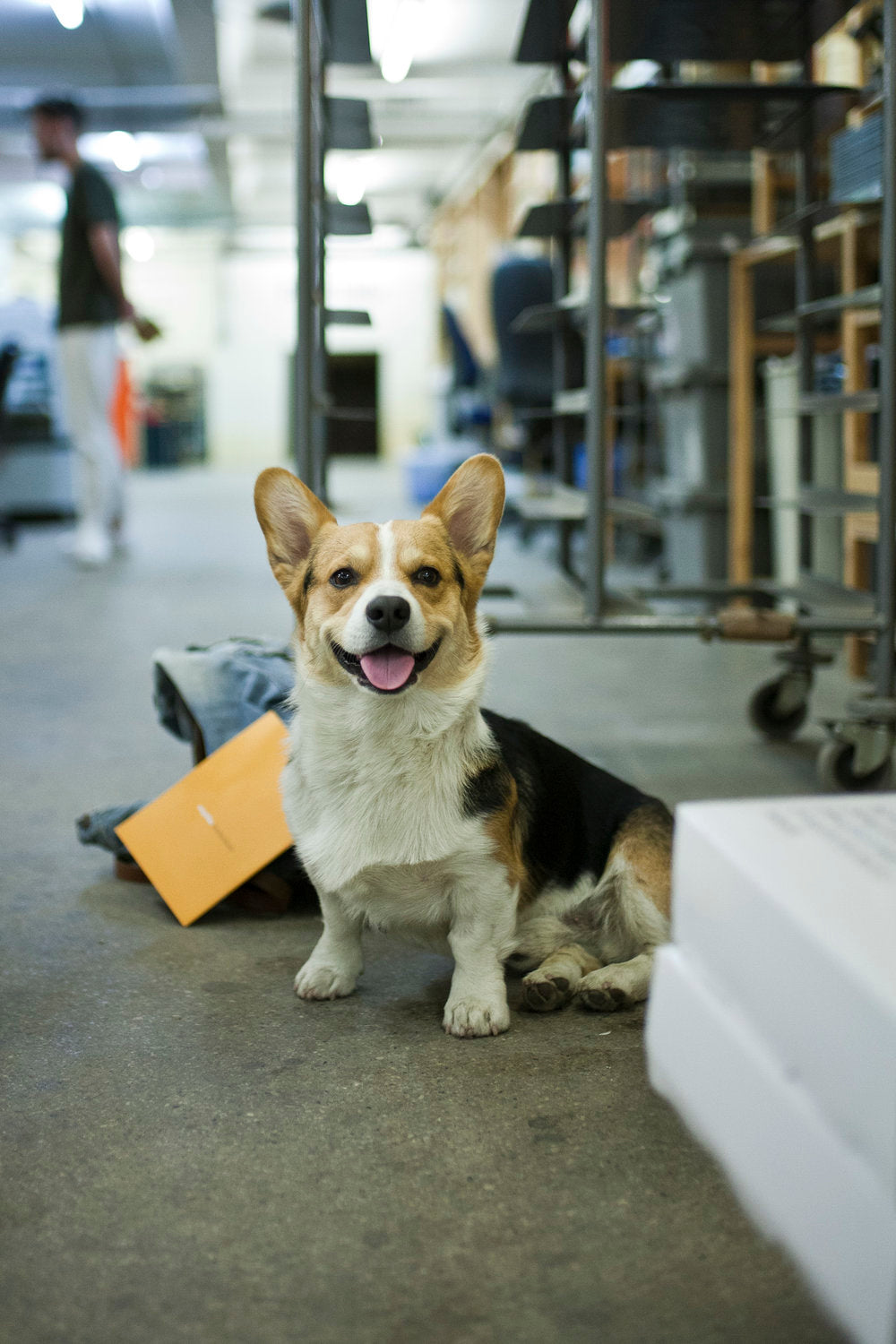 Morus In Packing Department