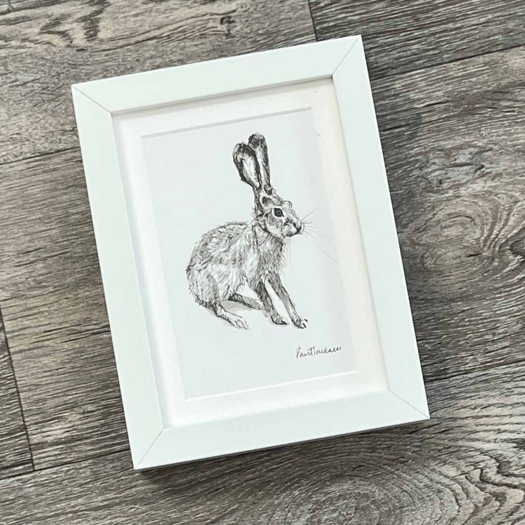 ‘Hare’ - framed