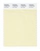 Pantone SMART Color Swatch 11-0615 TCX Pear Sorbet