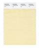 Pantone SMART Color Swatch 11-0619 TCX Flan