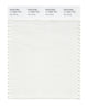 Pantone SMART Color Swatch 11-4202 TCX Star White