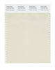 Pantone SMART Color Swatch 12-0104 TCX White Asparagus