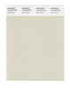 Pantone SMART Color Swatch 12-0105 TCX Bone White