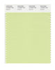 Pantone SMART Color Swatch 12-0322 TCX Butterfly