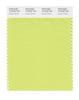 Pantone SMART Color Swatch 12-0435 TCX Daiquiri Green