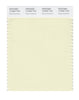 Pantone SMART Color Swatch 12-0607 TCX Green Essence