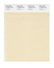 Pantone SMART Color Swatch 12-0806 TCX Rutabaga