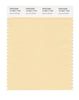 Pantone SMART Color Swatch 12-0817 TCX Apricot Gelato