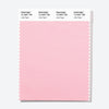 Pantone Polyester Swatch Card 12-2007 TSX Little Piglet