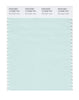 Pantone SMART Color Swatch 12-5408 TCX Moonlight Jade