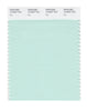 Pantone SMART Color Swatch 12-5507 TCX Bay