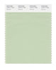 Pantone SMART Color Swatch 13-0111 TCX Seacrest