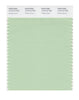 Pantone SMART Color Swatch 13-0116 TCX Pastel Green